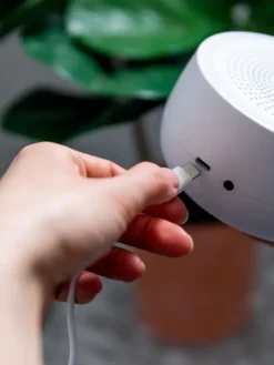 Online Dreamcenter yövalolla Yövalot Ja White Noise