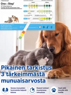 Discount Kidney Check Munuaistesti eläimille 1 kpl Lemmikkiperhe