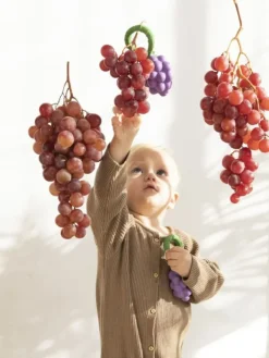 Hot Oli&Carol Grape helistin Helistimet Ja Purulelut