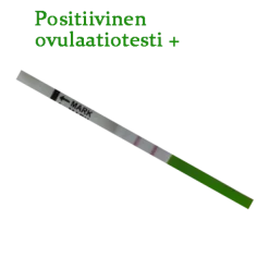 Outlet Ovulaatiotesti liuskat – Edullinen ja luotettava LH-ovulaatiotesti Ovulaatiotestit